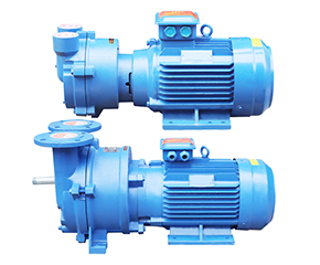 2BV水(shui)環真空泵(beng) 直連式防(fáng)爆真空泵(bèng)